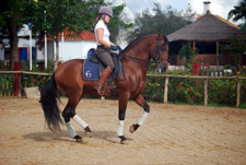 Spain-Southern Spain-Classical Dressage Clinic - in Southern Spain